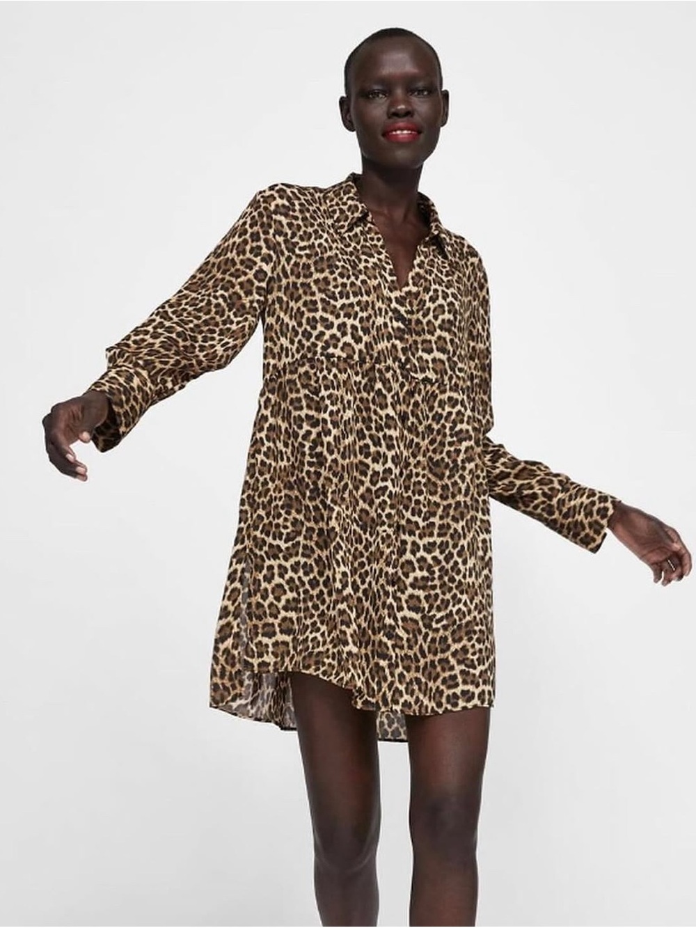 Zara Leopard Print Long-Sleeve Shirt Dress - Brown